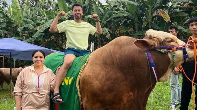 Raffi Ahmad Serbu Kandang Irfan Hakim, 5 Sapi Jumbo Langsung Ludes!