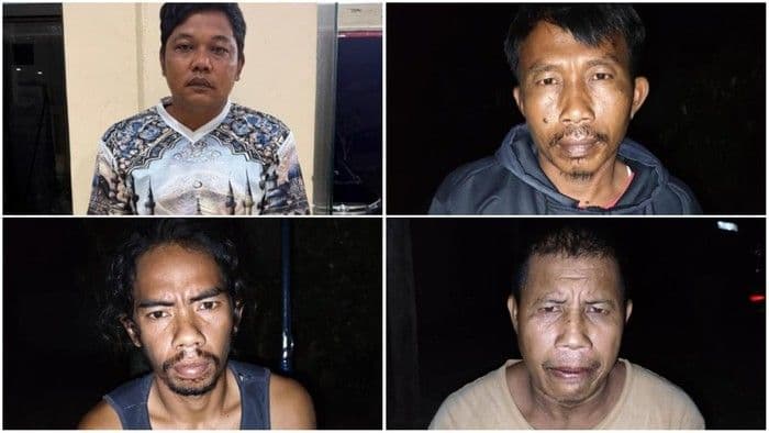 Terungkap! Ini Asal-Usul Tapir yang Viral di Lampung Sebelum Dibunuh dan Dimasak Rica-rica